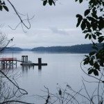 If you want a dock you will need a Foreshore Lease